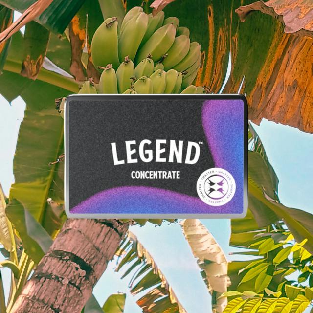 SHATTER | BANANA TREE | 1G at Camden Apothecary