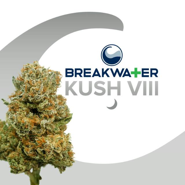 FLOWER | KUSH #8 | 7G