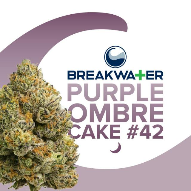 FLOWER | PURPLE OMBRE CAKE #42 | 3.5G
