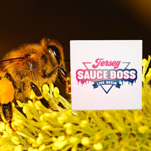 BADDER | THE HIVE | LIVE RESIN | 1G
