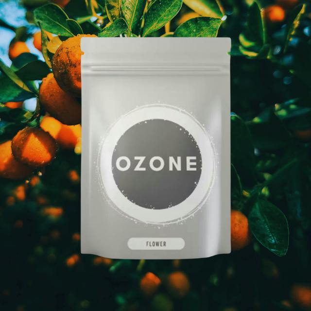 LITTLES | SOUR ORANGE | 28G
