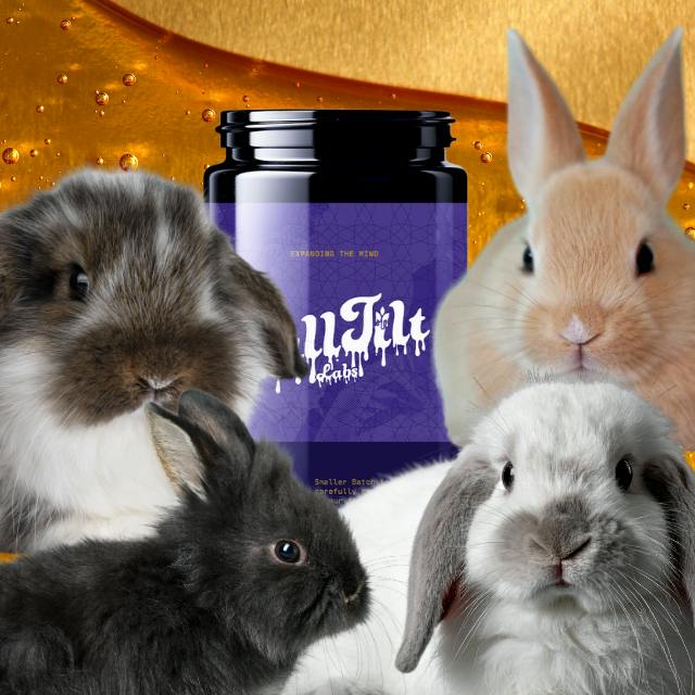 Honey Bunny