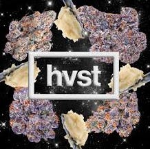 HVST-1g El Chivo #9
