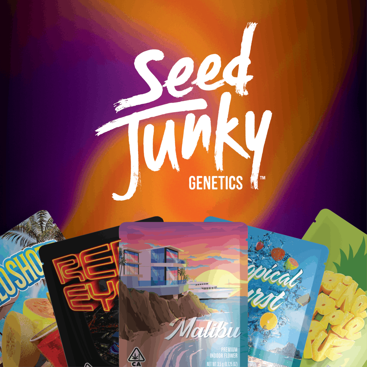 Seed Junky - Cherry Sunrise 1g