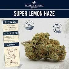 GROW OHIO - SLH Tier 1 Sativa