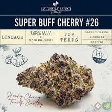 GROW OHIO - Super Buff Cherry #26 Tier 1 Hybrid