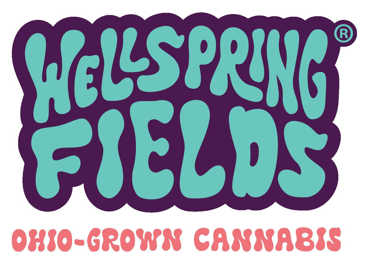WELLSPRING FIELDS - GMO Indica Live Resin at Leaf Relief
