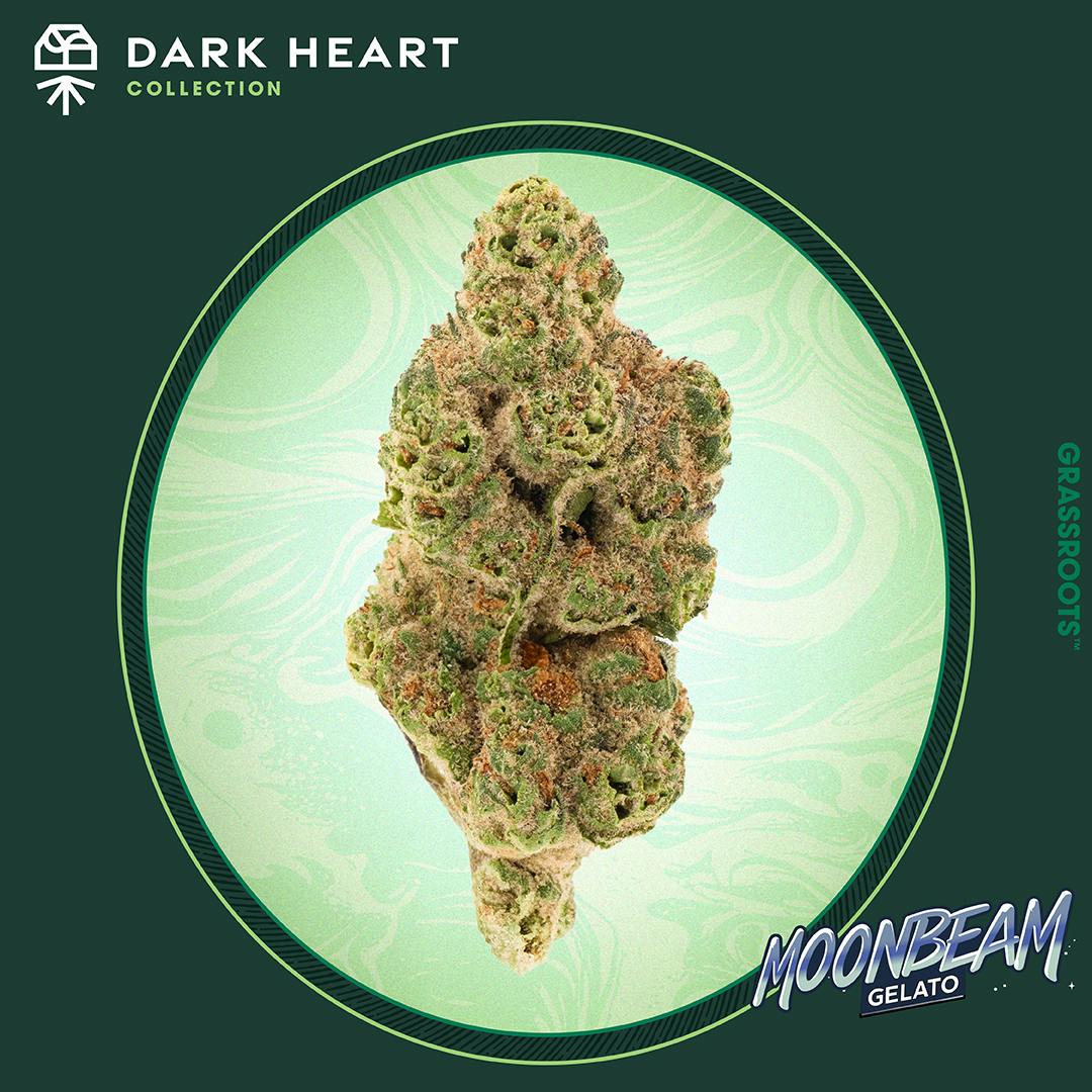 Moonbeam Gelato | 3.5g Flower | Hybrid