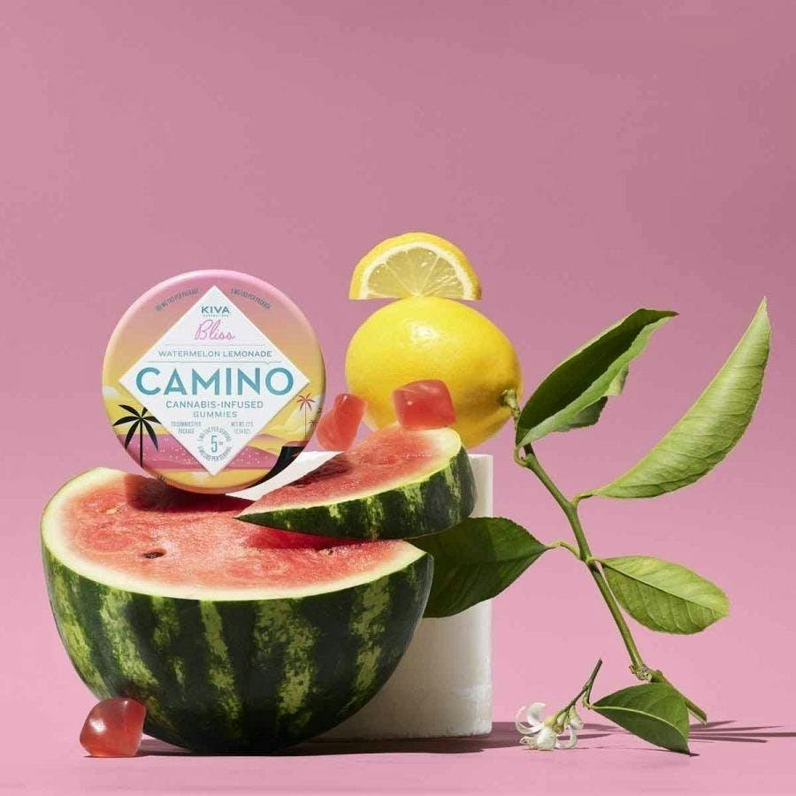 Camino Watermelon Lemonade Gummies