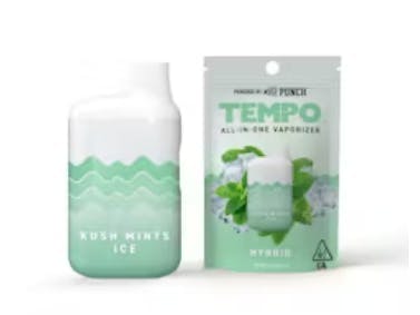Kush Mints Ice | 1g All-In-One