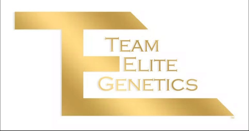 Team Elite Genetics - Super Boof 1/2oz - 1/2oz