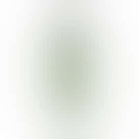 Go Drops Plant-Based Pills For Energy 1:1 (100mg)