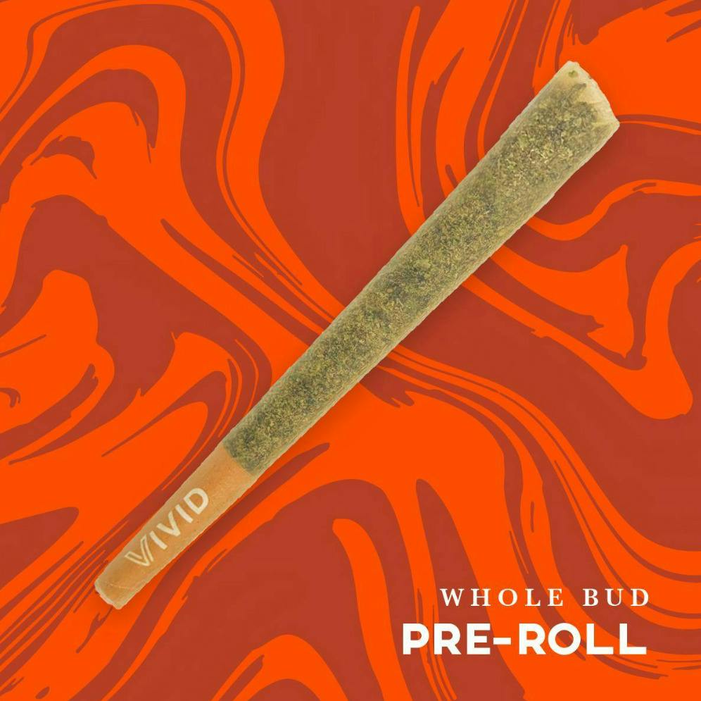 Vivid: Florida Kush | Pre-Roll