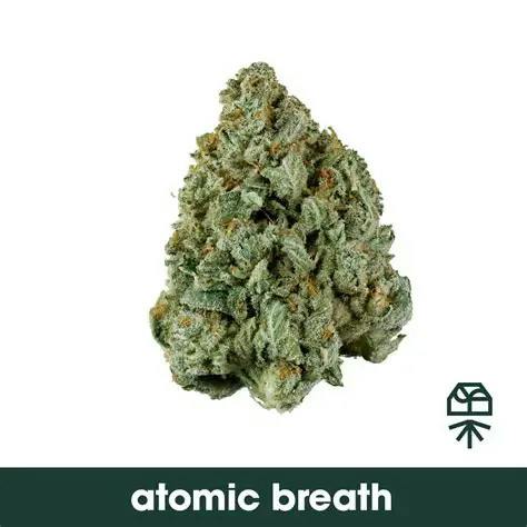 Grassroots Atomic Breath Whole Flower 14g