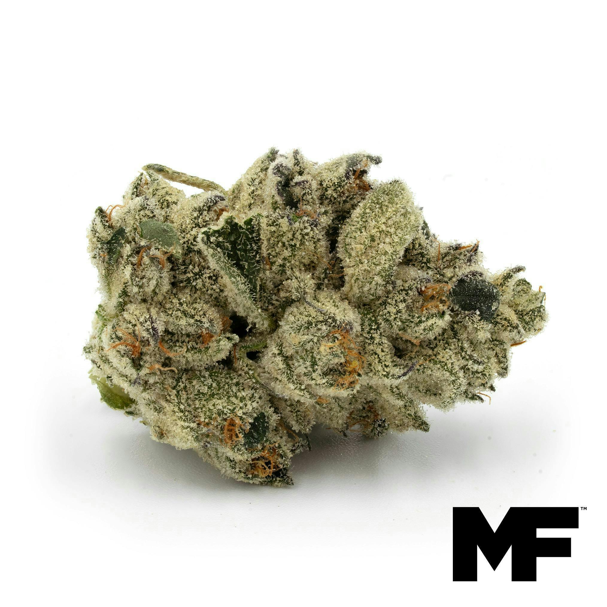 PNK CRTZ Flower