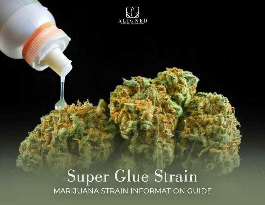 All Day - Super Glue | 14g Flower