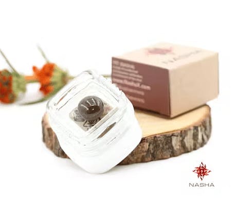 Nasha - Blueberry Muffin: Red Pressed