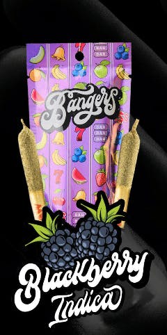 Bangers - Blackberry | 0.6g 2pk Infused Prerolls - 1.2 items