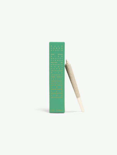 A Golden State - Palo Cedro | 1g Preroll