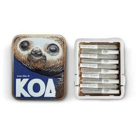Koa Cannabis Co. - Blue Dream x Wedding Cake | 10pk Infused Mini Prerolls - 3.5 items