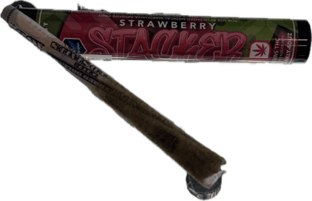 Xen - Strawberry Stacker - 2g