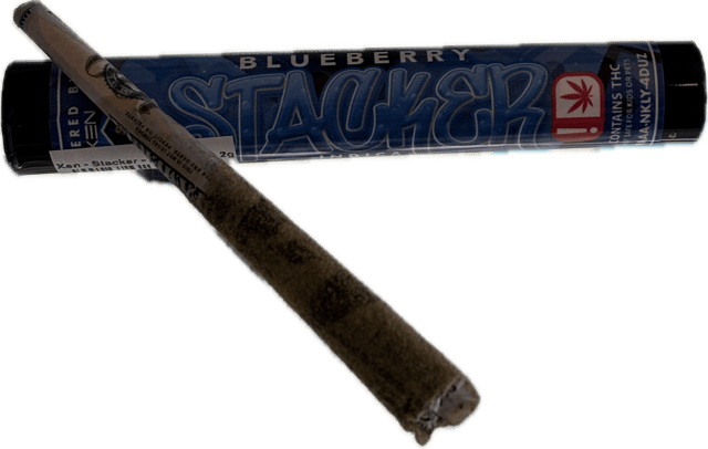 Xen - Stacker - Blueberry - 2g