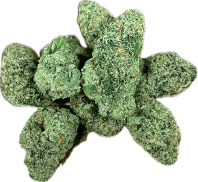 Pre-Packaged Flower - Mimosa - 3.5g
