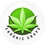 Any Day - Pre-Roll at Catalyst Cannabis Co. Muldoon
