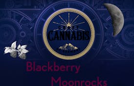 Blackberry Moonrocks | 1g (x2 0.5g)