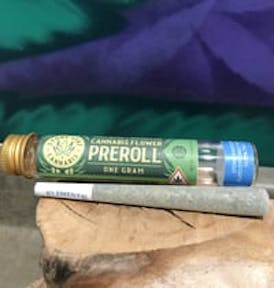 Lemon Jeffrey | 1g Pre-Roll