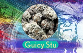 Guicy Stu | 3.5g