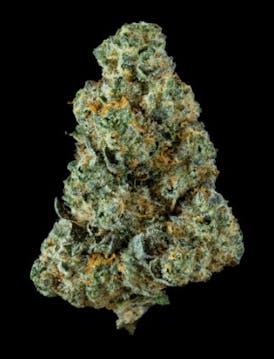 Velvet Rainbows # 305 | 28g flower (smalls)