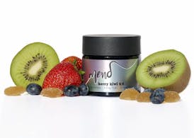 Mend- Berry Kiwi 1:1 Gummies | 5mg THC /5mg CBD per Piece