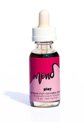 Mend- "Play" Tincture | 500mg THC