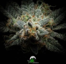 De Pot- Dante's Inferno- 3.5g Flower