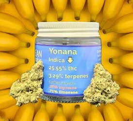 Clean Cannabis- Yonana | 14g Flower