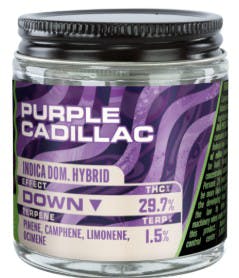 Forbins Finest- Purple Cadillac 29.7% THC | 3.5g Flower