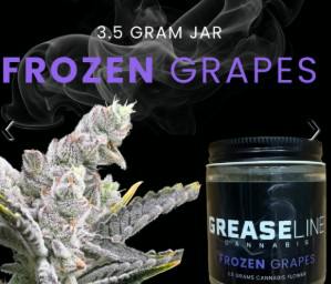 Grease Line- Frozen Grapes 25.6% THC | 3.5g Flower
