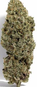 Astro Labs - Sherbtang | 3.5g Flower 27.66 % THC