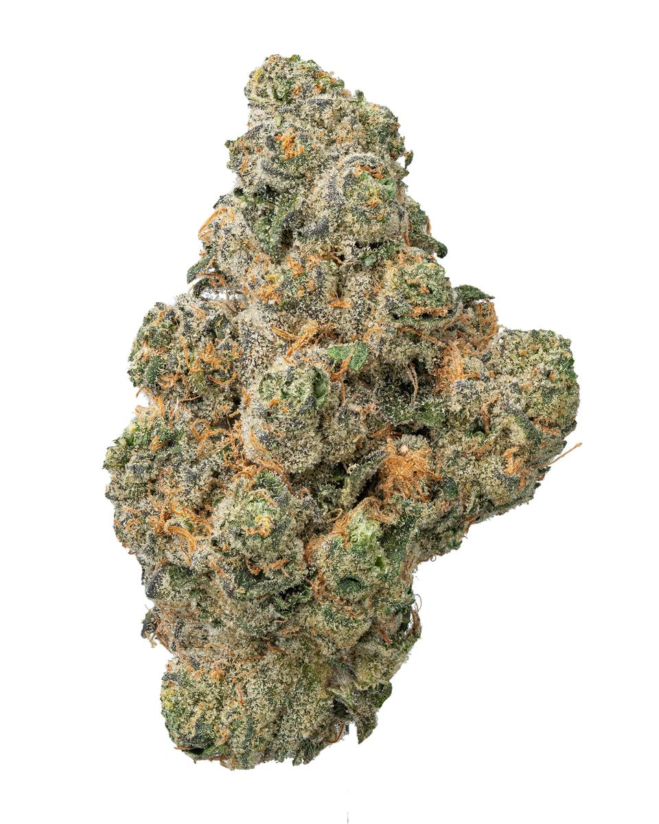 Satori- Black Maple | 14g Flower