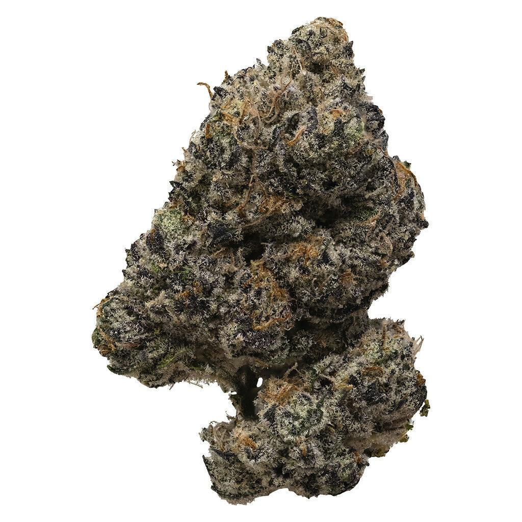 Pink Rockstar