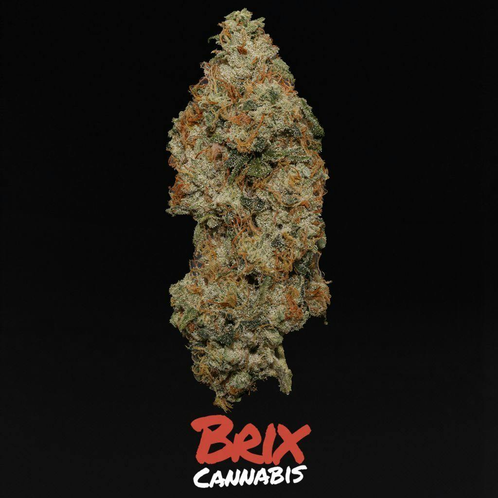 Brix Jungle Cake 14g Smalls