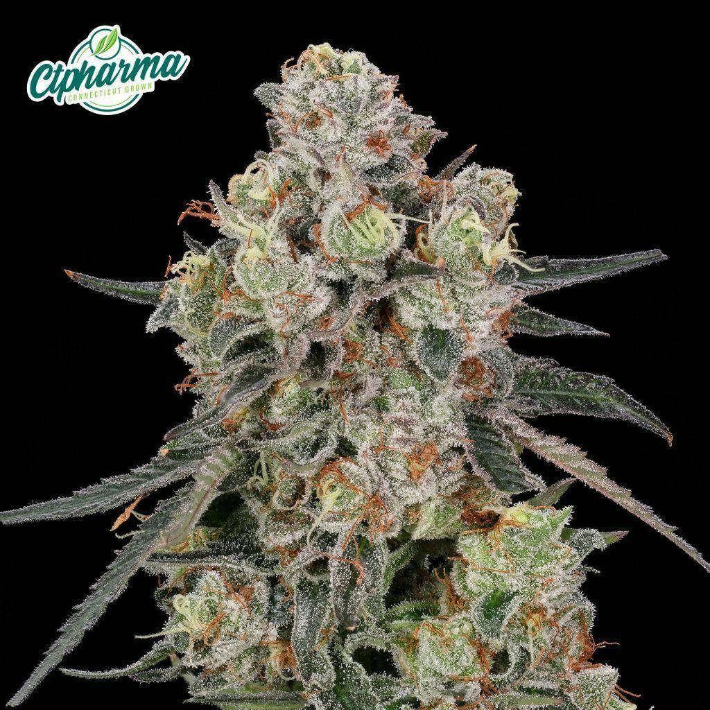 CTPharma Passion Orange Guava 3.5g Flower