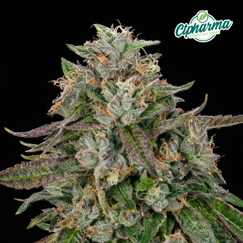 CTPharma Super Rz 3.5g Flower