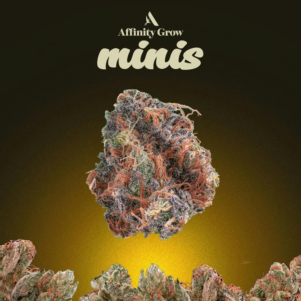 Affinity Citral Ice 3.5g Smalls