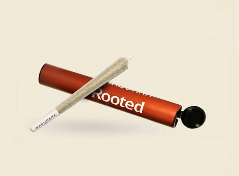 Rooted | Grimreefah | Pre-roll at NOBO