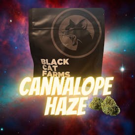 Blueberry OG Black Cat Farms OZ Prepacked