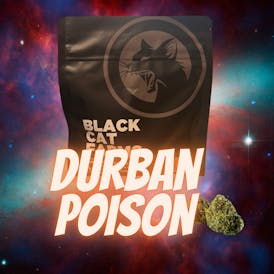 Durban Poison Black Cat Farms OZ Prepacked