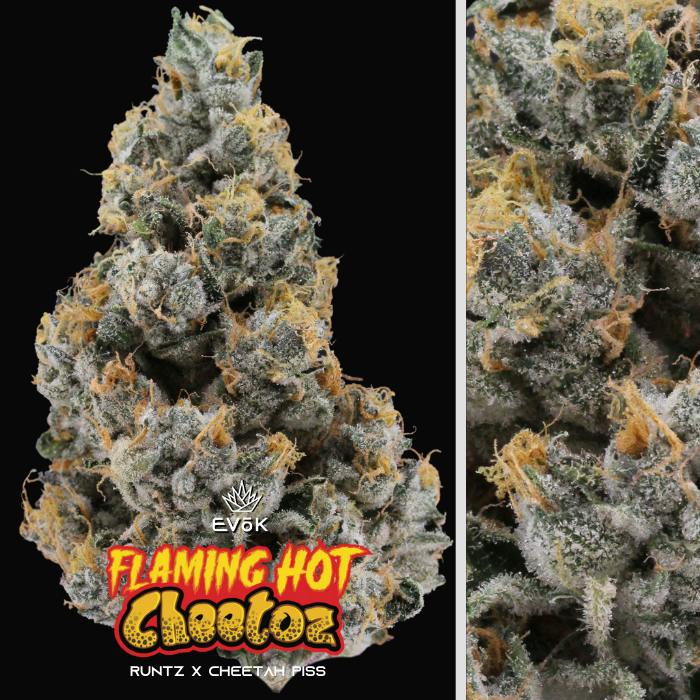 EVOK Flaming Hot Cheetos 3.5g Flower $20ea