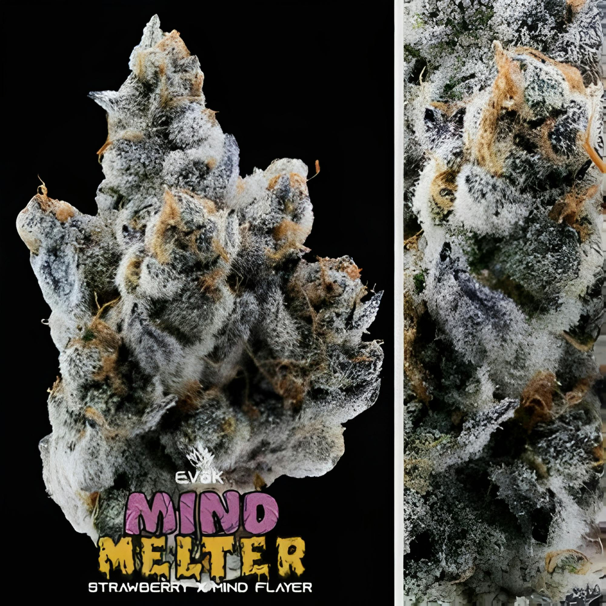 Evok Mind Melter 3.5g Flower